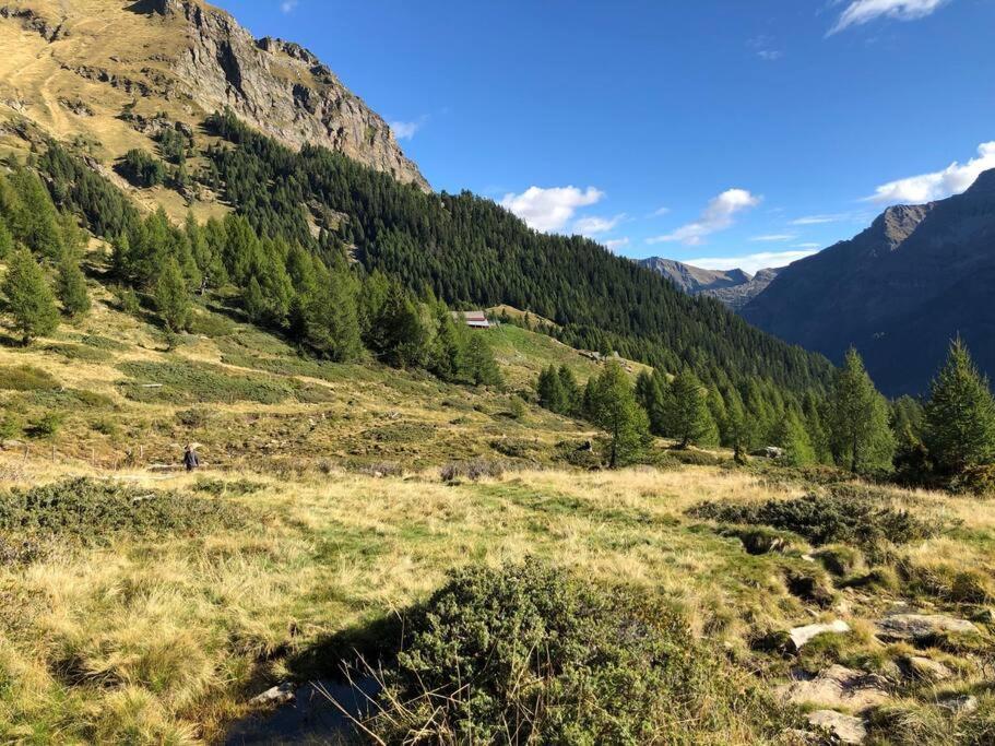 Wohnung Mit Bergblick Im Haus Sonne Reith bei Seefeld Exterior foto